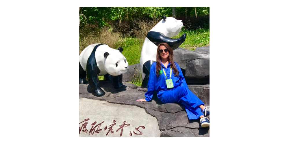 Looking for a Hobby this summer? Volunteer for Panda!